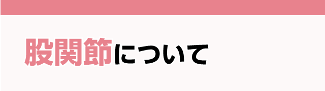 股関節について