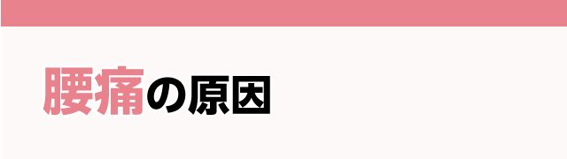 腰痛の原因