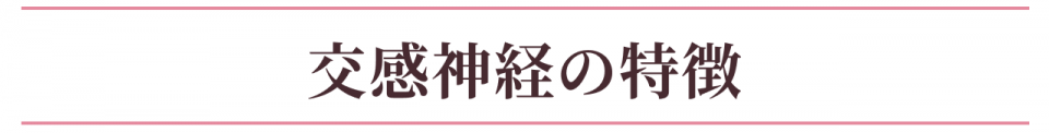 交感神経の特徴