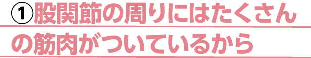 股関節の周りにはたくさんの筋肉がついているから