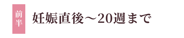 妊娠直後〜20週まで