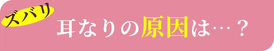 ズバリ耳なりの原因は…