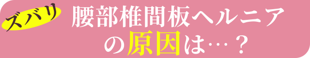 ズバリ腰部椎間板ヘルニアの原因は…