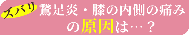 ズバリ鵞足炎・膝の内側の痛みの原因は…